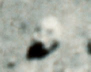 Stage 2 reference jpg