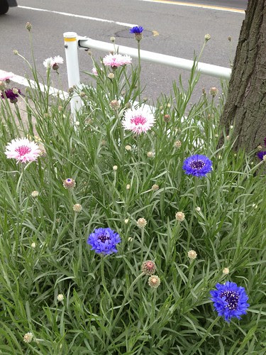 20120430111517