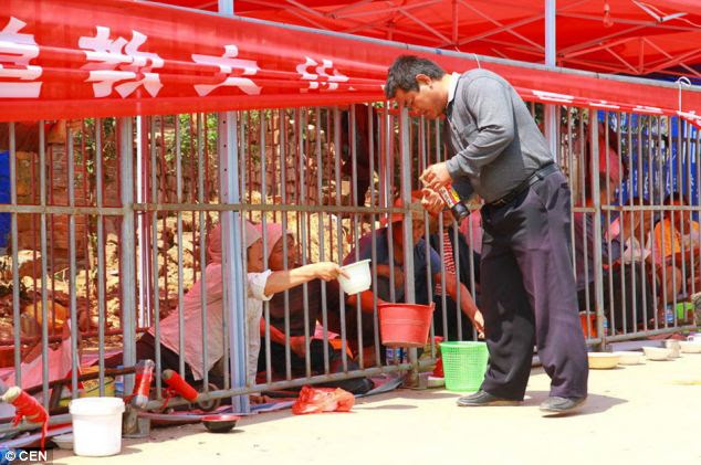 'Human zoo': The cages are so small the 'inmates' are unable to stand and their conditions have outrages human rights campaigners in China who accuses the festival of keeping a 'human zoo'
