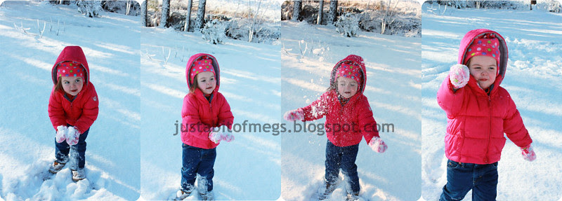 snow3
