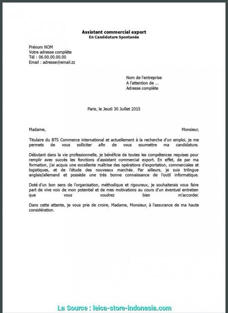 Lettre De Motivation Bts Pme Pmi Alternance  Halloweenisme