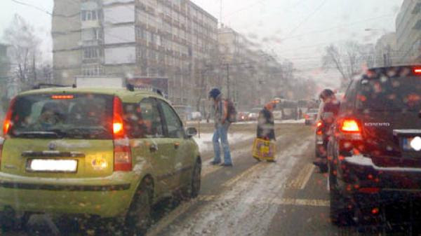 lapovita_trafic_34750800