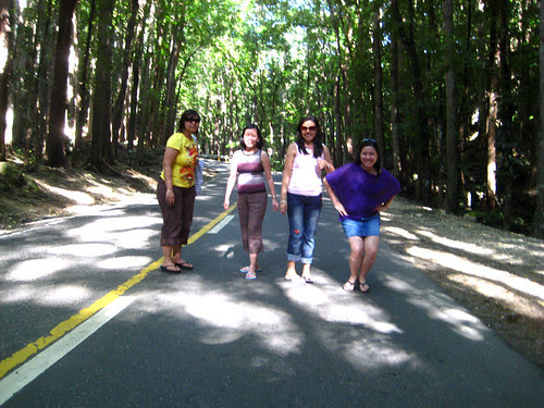 At the Man-Made Forest