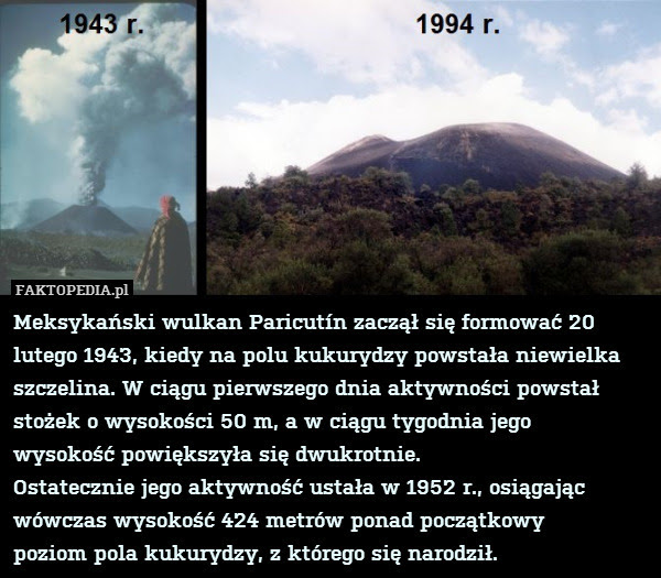 Meksykański wulkan Paricutín zaczął – Meksykański wulkan Paricutín zaczął się formować 20 lutego 1943, kiedy na polu kukurydzy powstała niewielka szczelina. W ciągu pierwszego dnia aktywności powstał stożek o wysokości 50 m, a w ciągu tygodnia jego
wysokość powiększyła się dwukrotnie.
Ostatecznie jego aktywność ustała w 1952 r., osiągając wówczas wysokość 424 metrów ponad początkowy
poziom pola kukurydzy, z którego się narodził. 