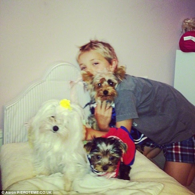 Ultrajante! Os cãezinhos de estimação incluem um Yorkie Teacup chamada Hannah Spears - o que ela pagou US $ 8.212 em 2012 e um maltês branco chamado Lacey comprado por US $ 5.568 no ano seguinte