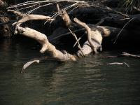 Free Image Hosting at www.ImageShack.us