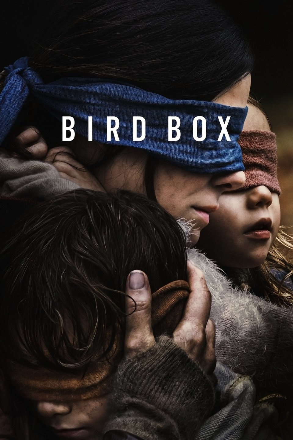 birdbox ile ilgili görsel sonucu