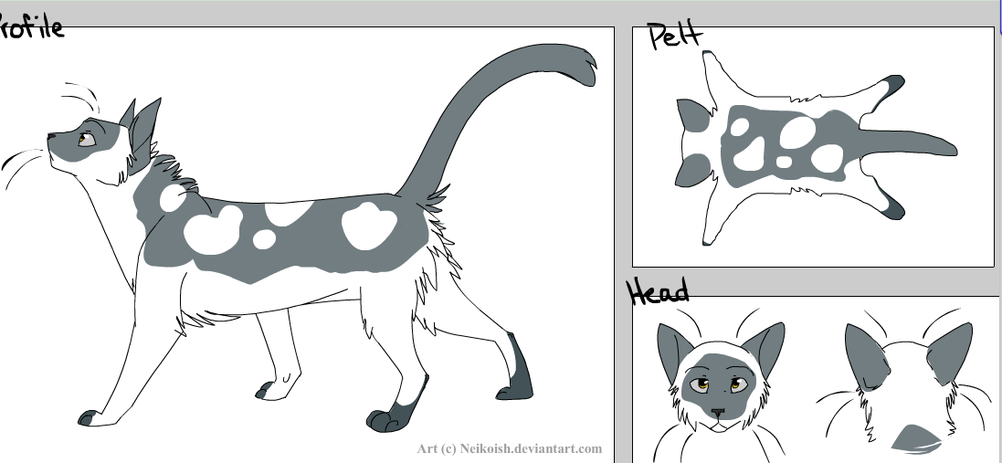 Warrior Cat Oc Maker Deviantart