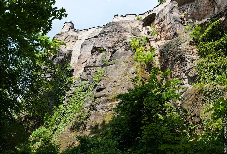 photo 27.jpg