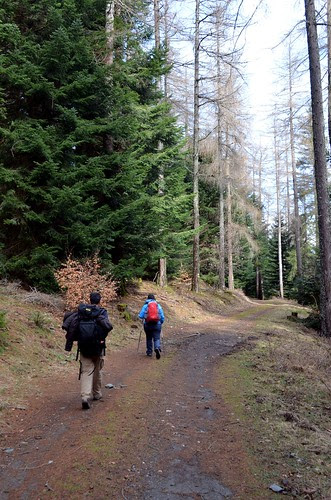 Forests of Aire de Côte
