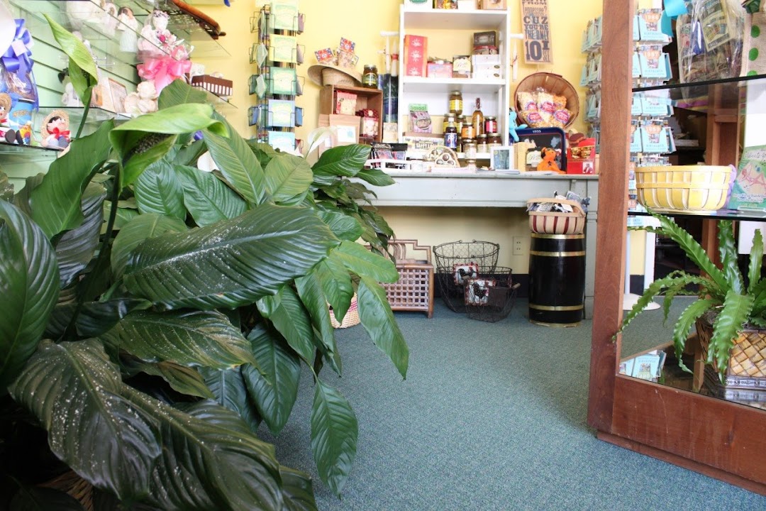 Sunshine Shop Inc
