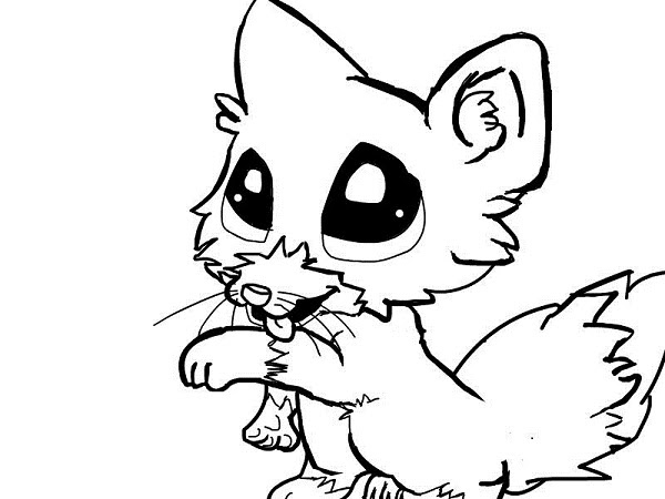 baby wolf coloring pages  coloring pages kids 2019