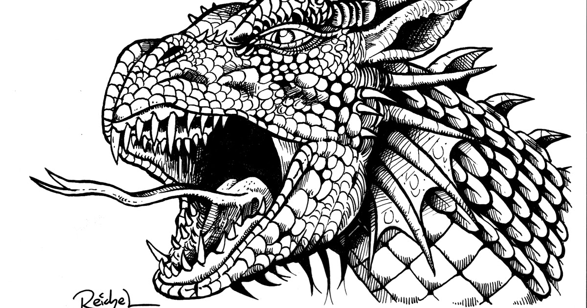 17 New Ausmalbilder Drachen Und Fabelwesen