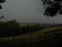 Rainy Sunday at Shady Grove