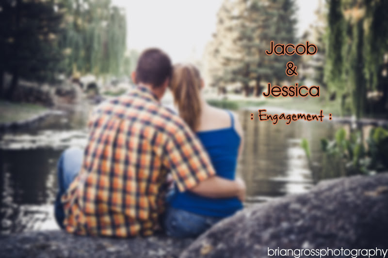 engagement_photos Brian_gross_photography Dublin_CA 2009 (10)