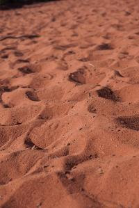 Free Image Hosting at www.ImageShack.us