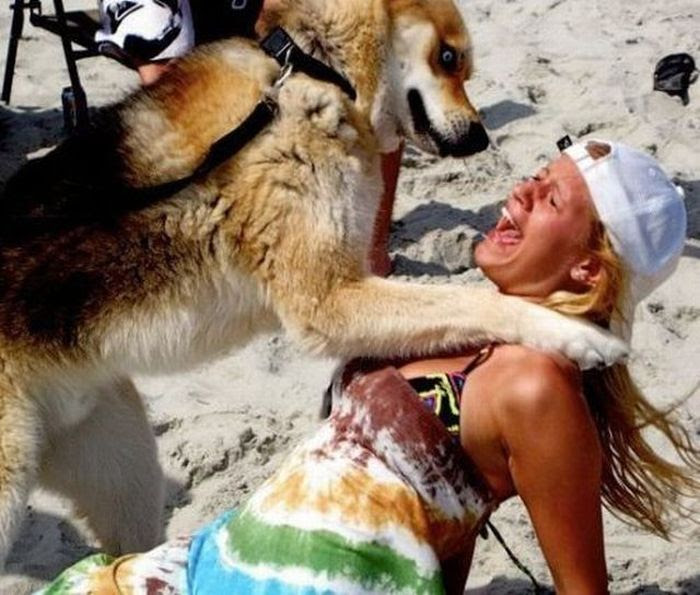 Acid Picdump (88 pics) Acid Picdump (88 pics)