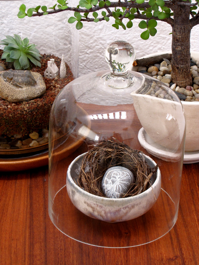 Found nest display