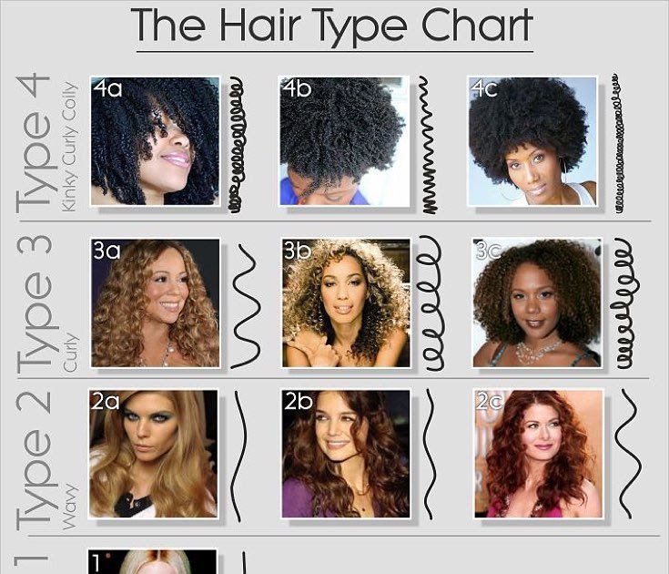 What Are The 3 Hair Types - Hair Style Info