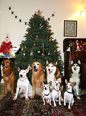 xmas-grp4