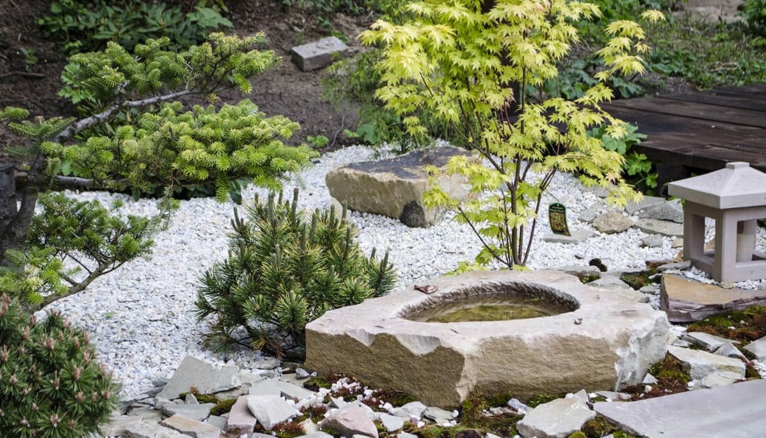 garten neu anlegen kosten