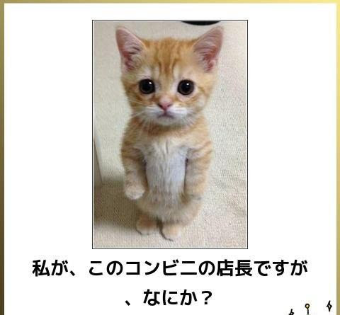 元のボケ て かわいい 無料イラスト集