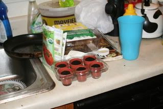 Our soon to be garden