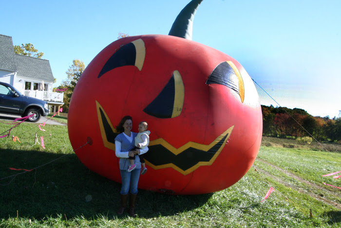 pumpkin6.jpg