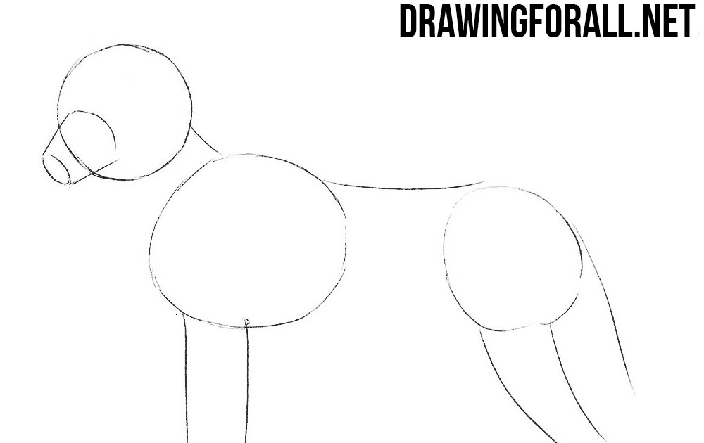 How To Draw Wolf Ears On A Human ~ Drawing Tutorial Easy