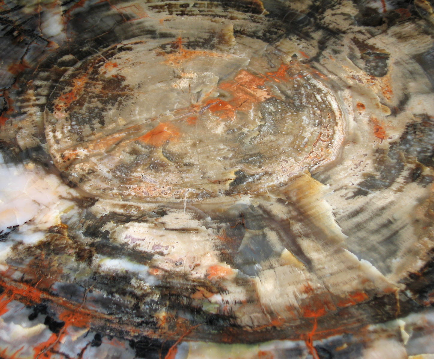 http://upload.wikimedia.org/wikipedia/commons/9/91/Cutpetrifedwood_laban.jpg