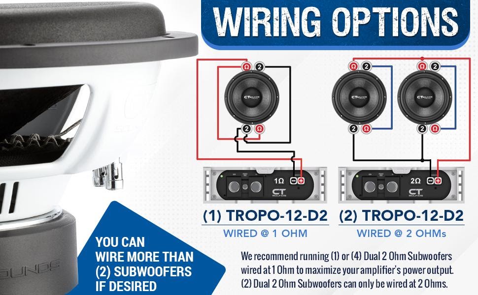 Dual 1 Ohm Wiring Diagram Subwoofer Speaker Amp Wiring