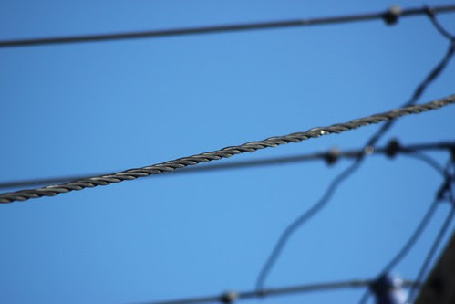 Lines
