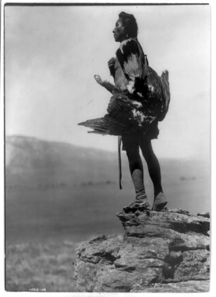 Description of  Title: The eagle catcher.  <br />Date Created/Published: c1908.  <br />Summary: Hidatsa Indian standing on large rock overlooking valley, full-length, left profile, holding eagle.  <br />Photograph by Edward S. Curtis, Curtis (Edward S.) Collection, Library of Congress Prints and Photographs Division Washington, D.C.