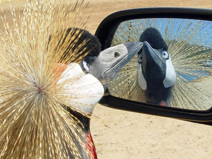 Acid Picdump (88 pics) Acid Picdump (88 pics)