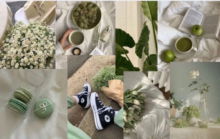 Laptop Backgrounds Aesthetic Sage Green : 47 Sage Green Wallpaper On