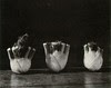Three vegetables, de Cunningham