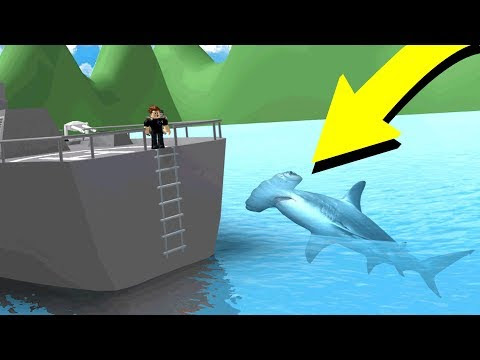 megalodon sharkbite bite hammerhead occurred