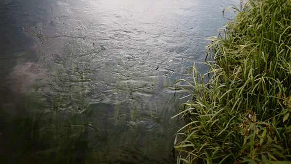 Animated Cinemagraphs of City Life and Nature by Julien Douvier Animated Cinemagraphs of City Life and Nature by Julien Douvier gifs
