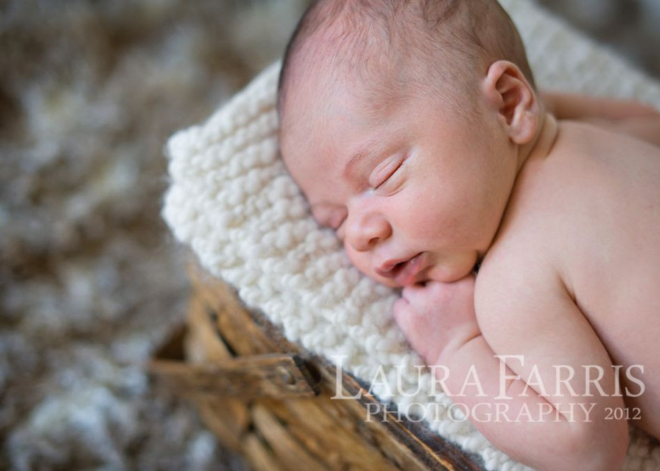boise newborn baby photographers