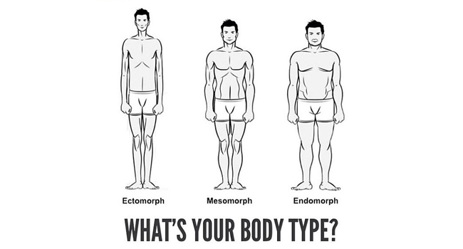 Body Types: Ectomorph vs Mesomorph vs Endomorph