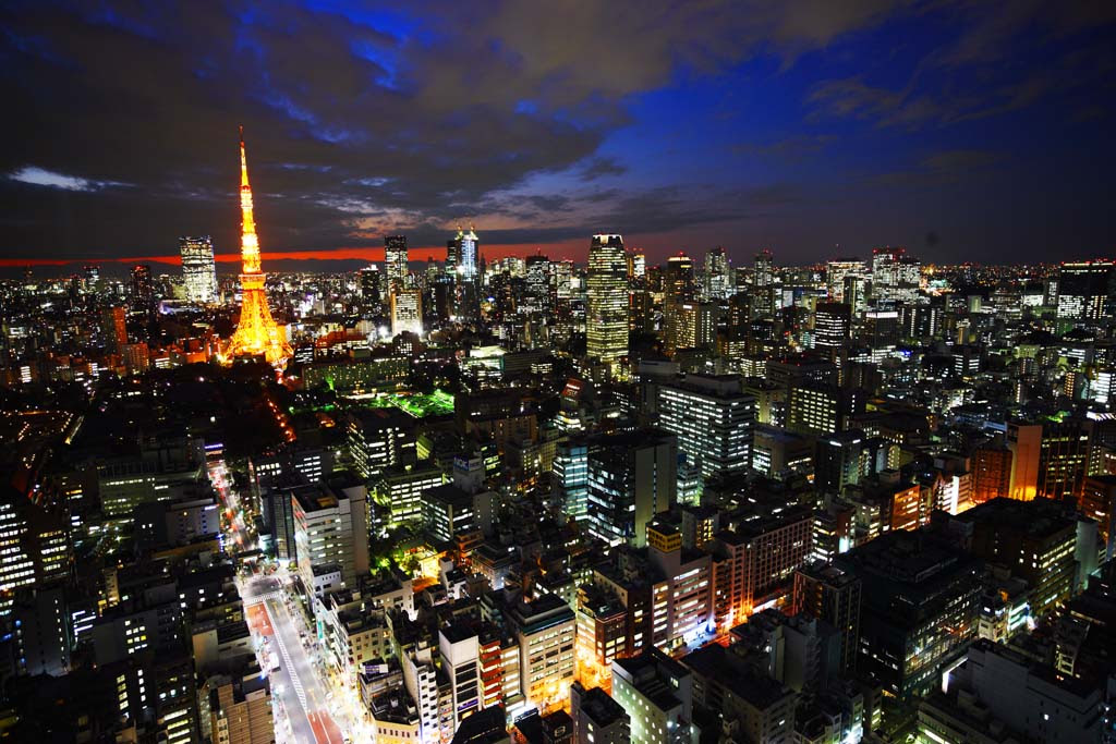 すべての美しい花の画像 ベスト夜景 壁紙 無料