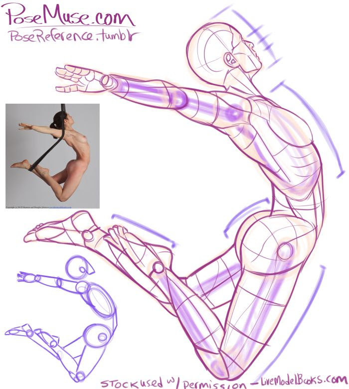Base Drawing Falling Pose Reference - Onze Wallpaper