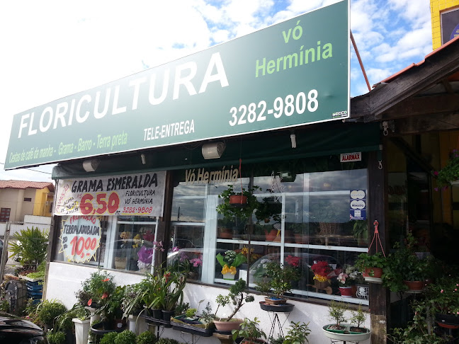 Floricultura Vó Hermínia