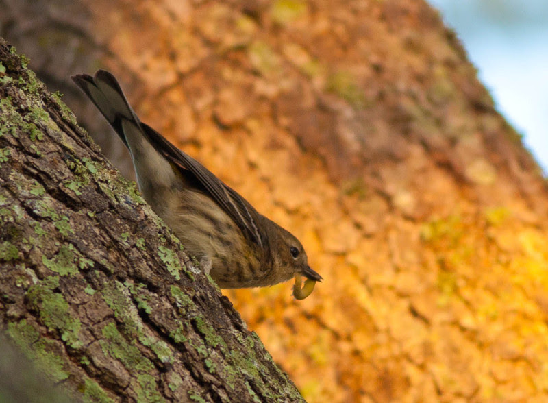 Photo & Video Sharing by SmugMug Photo & Video Sharing by SmugMug