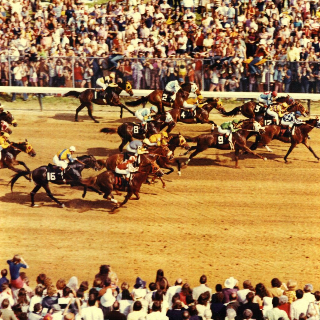 sweetdesignsbymom: Horse That Won Kentucky Derby