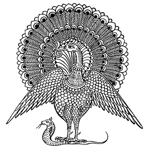 Indian Designs - Peacock