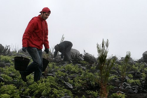 20101113-vs-0800