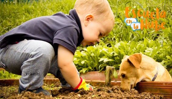 Cartel Sobre El Cuidado De Los Animales Para Niños - Hábitos de Niños