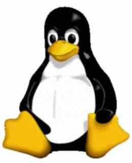 Linux - Windows