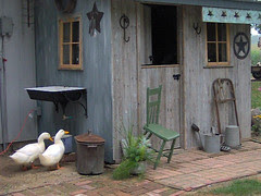 Potting Shed and Ducks